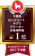 みんなのロングコートチワワブリーダー
