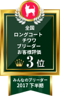 みんなのロングコートチワワブリーダー