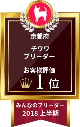みんなのチワワブリーダー