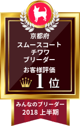 みんなのスムースコートチワワブリーダー