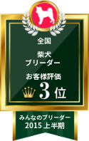 みんなのブリーダー 柴犬部門 2015年上半期