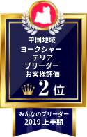 みんなのヨークシャーテリア(ヨーキー)ブリーダー