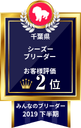 みんなのブリーダー シーズー部門 2019年下半期