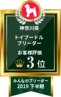 みんなのブリーダー トイプードル部門 2019年下半期