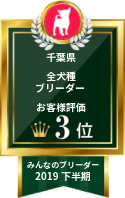 みんなのブリーダー 2019年下半期