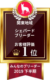 みんなのブリーダー シェパード部門 2019年下半期