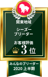 みんなのブリーダー シーズー部門 2020年上半期