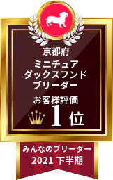 みんなのブリーダー ミニチュアダックスフンド部門 2021年下半期