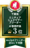 みんなのブリーダー ミニチュアシュナウザー部門 2021年下半期