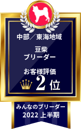 みんなのブリーダー 豆柴部門 2022年上半期