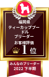 みんなのブリーダー ティーカッププードル部門 2022年下半期