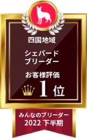 みんなのブリーダー シェパード部門 2022年下半期