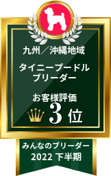 みんなのブリーダー タイニープードル部門 2022年下半期