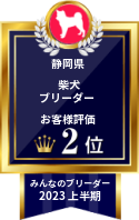 みんなのブリーダー 柴犬部門 2023年上半期