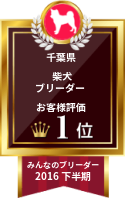 みんなのブリーダー 柴犬部門 2016年下半期