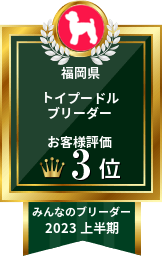 みんなのブリーダー トイプードル部門 2023年上半期