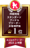 みんなのブリーダー スタンダードプードル部門 2023年上半期