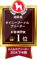 みんなのブリーダー タイニープードル部門 2024年下半期