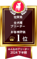 みんなのブリーダー 2024年下半期