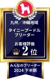 みんなのブリーダー タイニープードル部門 2024年下半期