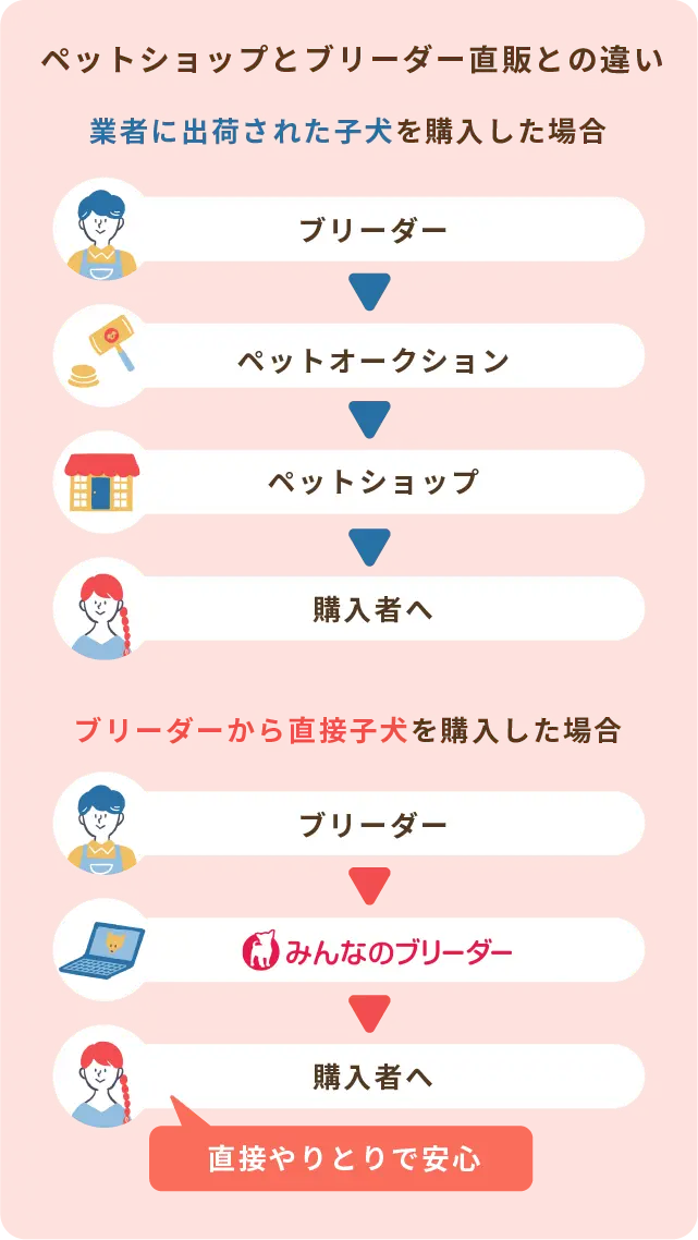 ペットショップとブリーダー直販の違い