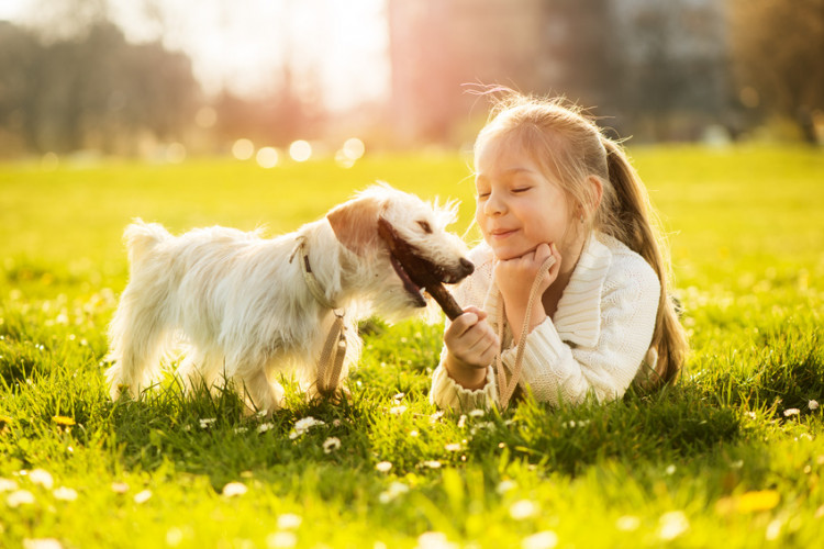 犬と遊ぶ子ども