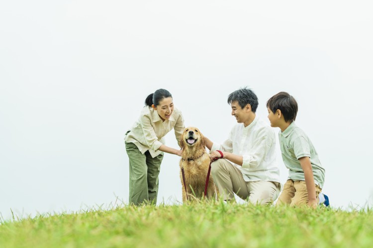 共働き夫婦と柴犬