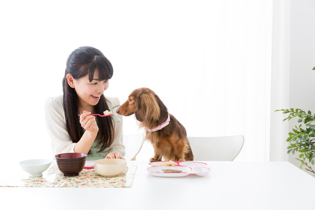 飼い主と犬