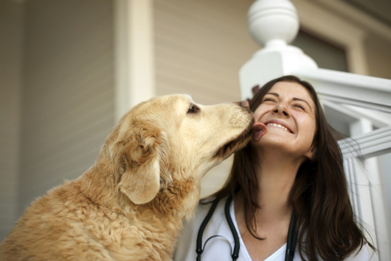 犬 顔 に 顔 を くっつける