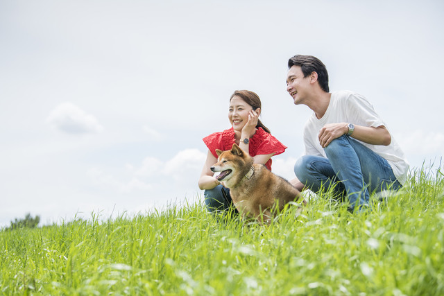 夫婦と犬