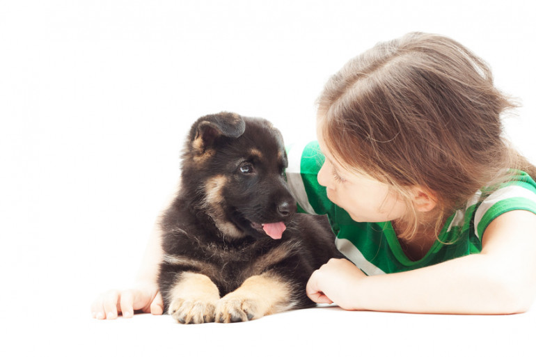 犬の臭い 気になる 気にならない においの原因を知って対策すれば大丈夫 みんなのブリーダー
