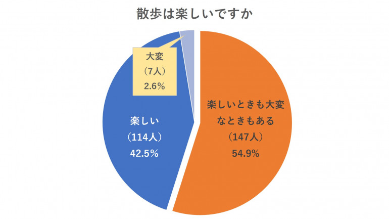 犬の散歩ってどれくらいすればいいの 散歩時間の目安と実態調査 みんなのブリーダー 犬の散歩ってどれくらいすればいいの 散歩時間の目安と実態調査 みんなのブリーダー