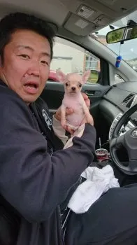 さわちゃん 様のお迎えした子犬