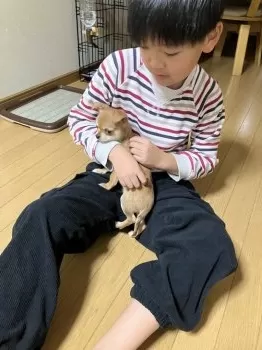 ゆきまる 様のお迎えした子犬