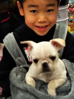 ゆき 様のお迎えした子犬