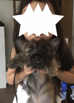 T.Y 様のお迎えした子犬