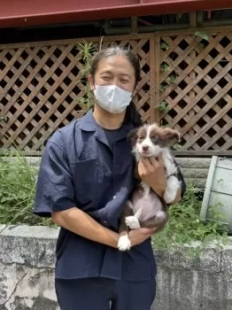 ゆーせい 様のお迎えした子犬