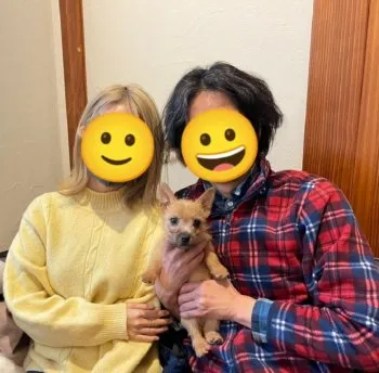 あすか 様のお迎えした子犬