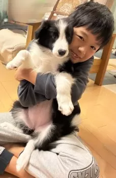 H.T 様のお迎えした子犬