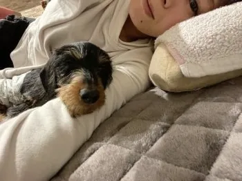 C.Ｉ 様のお迎えした子犬