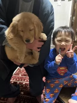 Y.A 様のお迎えした子犬