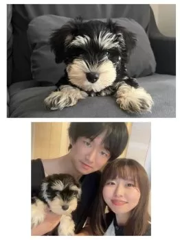 moka 様のお迎えした子犬