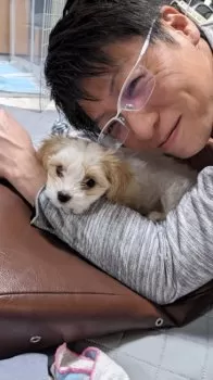 むー 様のお迎えした子犬