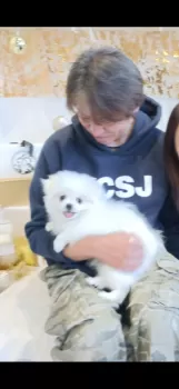 T.N 様のお迎えした子犬