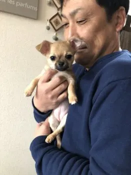 にこぢぃ 様のお迎えした子犬