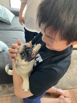 れんりく 様のお迎えした子犬