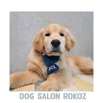 S.S 様のお迎えした子犬