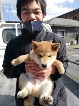 はる 様のお迎えした子犬