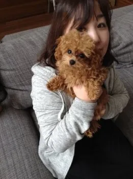 スウィーツ 様のお迎えした子犬