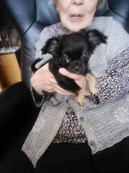 はるな 様のお迎えした子犬